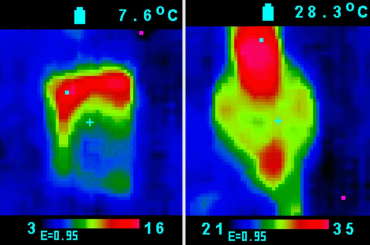 Zwei Bilder einer Wärmekamera in einem bunten Farbspektrum, oben kann man jeweils die Außentemperatur in Grad Celsius, unten sieht man eine Farbskala, die den Temperaturbereich abbildet.
