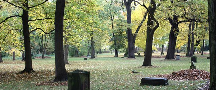 Einzelne Grabsteine und Bäume auf dem Alten Johannisfriedhof im Herbst