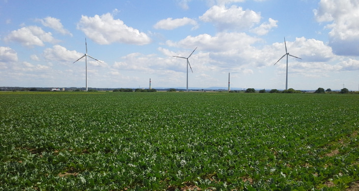 drei Windräder auf einem Feld vor blauem Himmel
