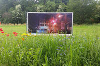 Großformatiges Kunstwerk auf einer Wiese im Clara-Zetkin-Park. Im Vordergrund blühen Blumen.