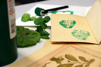 Neben detaillierten Zeichnungen diverser Pflanzen liegt ein selbstgebundenes Heft mit vergilbten Seiten, die farbige Muster von Blättern zeigen