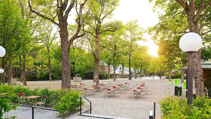 Der Konzertgarten des Zoo Leipzig mit vielen Bäumen und Sitzmöglichkeiten.