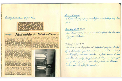 Seite aus einem historischen Tagebuch des Naturkundemuseums mit handschriftlichen Notizen und alten Zeitungsausschnitten.