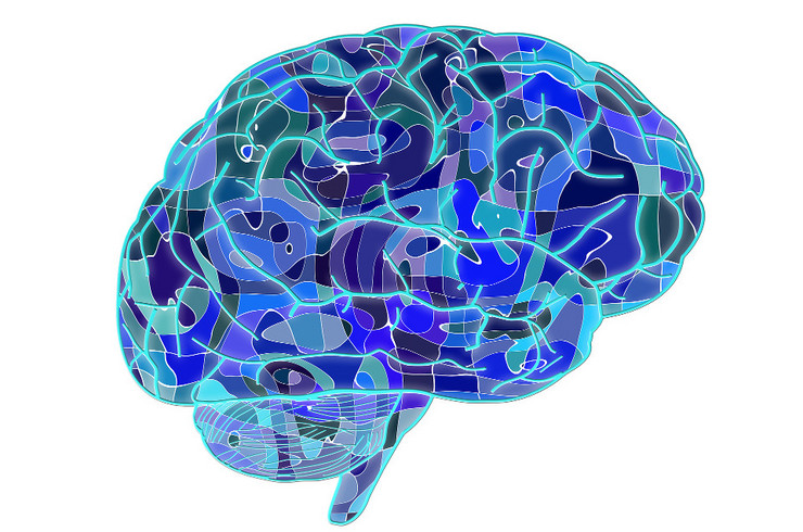 Computerbild eines Gehirns