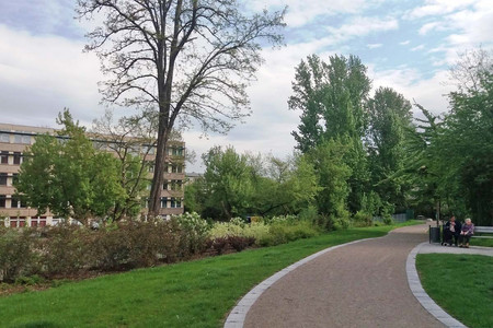 Ein geschwungener Weg führt durch eine grüne Fläche mit Bäumen und Sträuchern, rechts im Bild sitzen zwei Personen auf einer Parkbank.