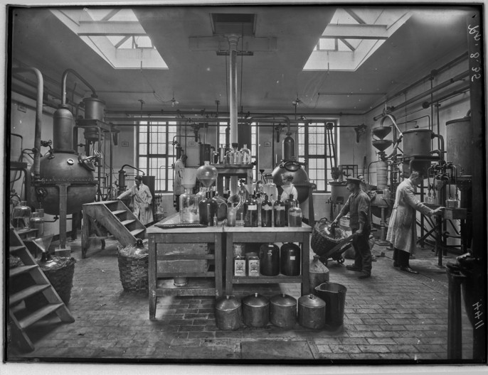 Menschen bei der Arbeit in einer Fabrik für ästhetische Öle, historische Aufnahme