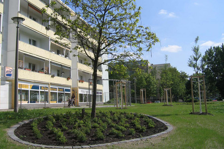 Vor einem Neubaublock stehen mehrere neu gepflanzte Bäume auf einer Wiese. Im Erdgeschoss des Gebäudes ist Gewerbe angesiedelt.
