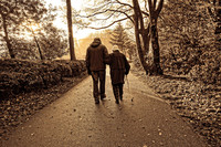 Ein älteres Paar von hinten auf einem Waldweg