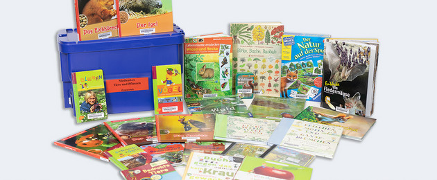Inhalt der Medienbox ausgebreitet, verschiedene Bücher, CDs und DVDs zum Thema heimische Pflanzen und Tiere