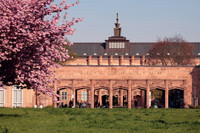 Eingangstor zu den Museen im Grassi mit Wiese und Blütenbaum