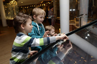 Drei Jungen benutzen einen Touchscreen im Museum.