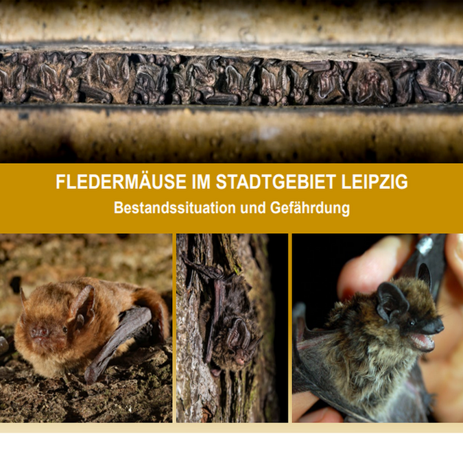 Cover der Broschüre Fledermäuse in Leipzig