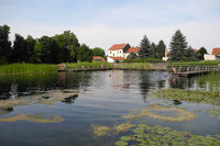 Wasserfläche im Ökobad Lindenthal