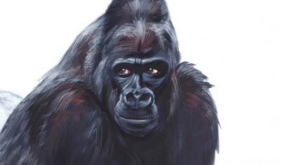 Zeichnung eines Gorillas