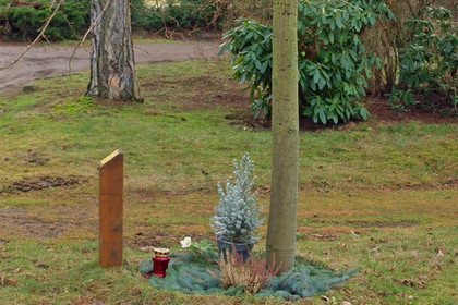 Vor einem Baum steht eine Holzstele. Um den Baum liegen Tannenzweige und ein Grablicht ist aufgestellt.