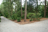 Ein Weg auf dem Südfriedhof grenzt an eine mit Sträuchern und Bäumen beflanzte Fläche.