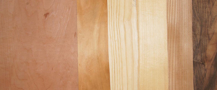 Nebeneinanderliegende Furnierholzplatten als vergleichende Übersicht der Holzarten.