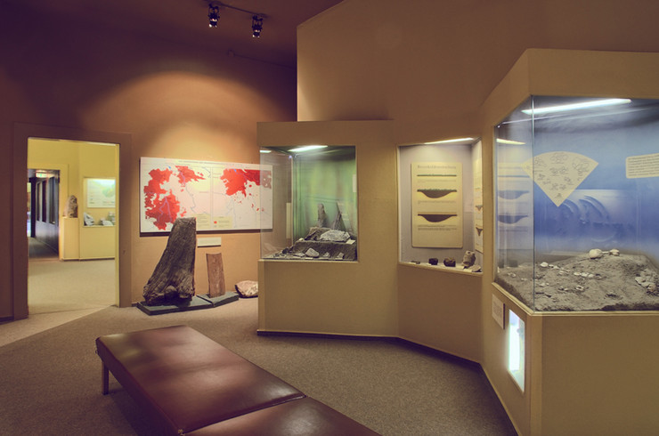 Ständige Ausstellung Naturkundemuseum