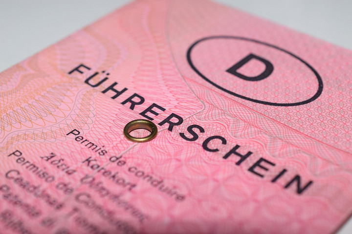 Rosafarbender Papier-Führerschein.