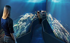 Besucherin läuft durch einen Tunnel in einem riesigen Aquarium.