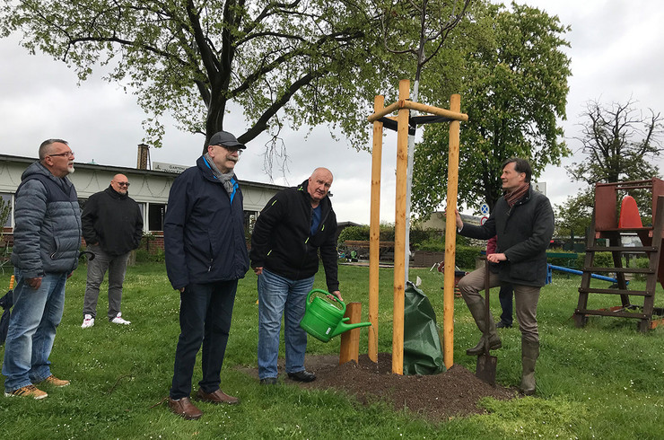 Drei Kleingärtner und Bürgermeister Heiko Rosenthal beim Pflanzen eines Baumes in einer Kleingartenanlage in Leipzig