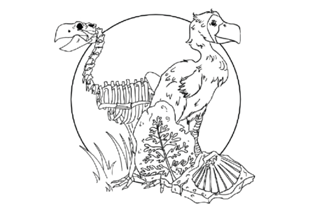 Grafik, die den Laufvogel Gastornis geiselensis zeigt