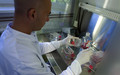 Mitarbeiter sitzend im Labor mit Gummihandschuhen und einer Pipette in der Hand, hantiert mit roten Flüssigkeiten