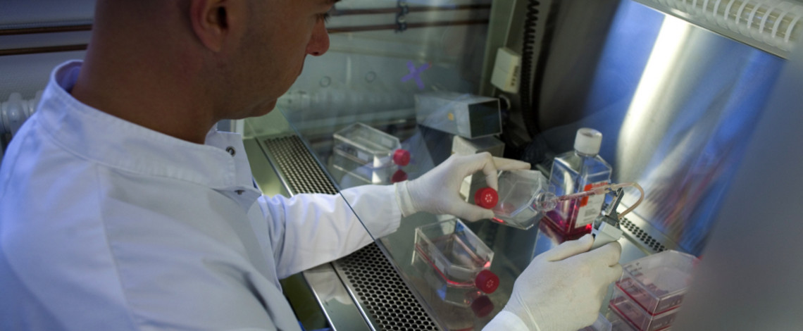 Mitarbeiter sitzend im Labor mit Gummihandschuhen und einer Pipette in der Hand, hantiert mit roten Flüssigkeiten