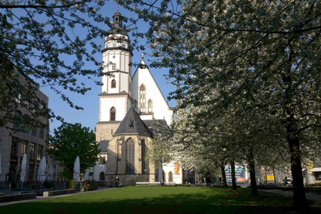 Thomaskirche mit Thomaswiese und blühenden Kirschbäumen