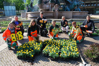Gruppenbild mit Gärtnerinnen und Gärtner der Stadtreinigung mit zu pflanzenden Blumen vor dem Mendebrunnen