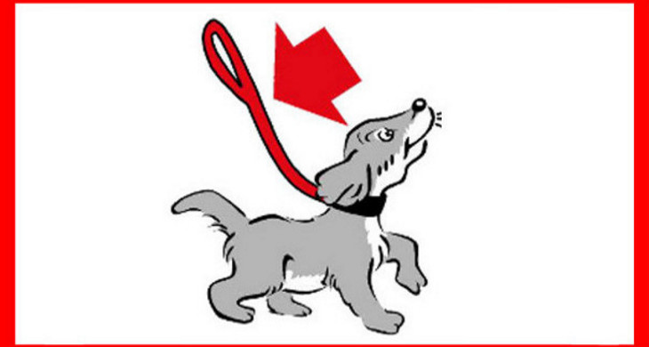 Logo mit Grafik eines Hundes an der Leine mit rotem Pfeil der auf die Leine