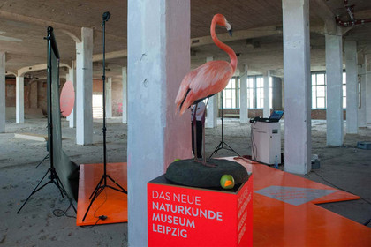 Blick in die Industriehalle, die künftig das Naturkundemuseum sein wird. Im Vordergrund ein Flamingo als Tierpräparation