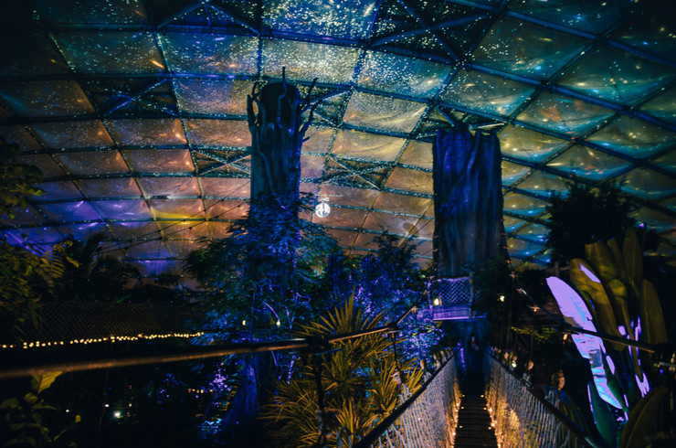 Phantasievoll beleuchtete Tropenhalle bei Nacht im Leipziger Zoo