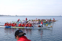 verschiedene Teams auf Drachenbooten auf dem Cospudener See.