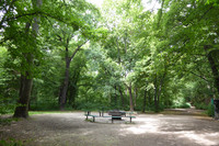 Grillplatz mit Feuerstelle und Sitzgelegenheiten in einem Wald
