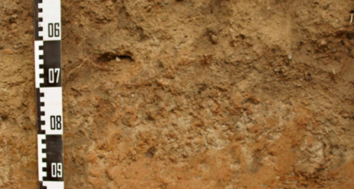 Bodenprofil Parabraunerde mit einem Maßstab