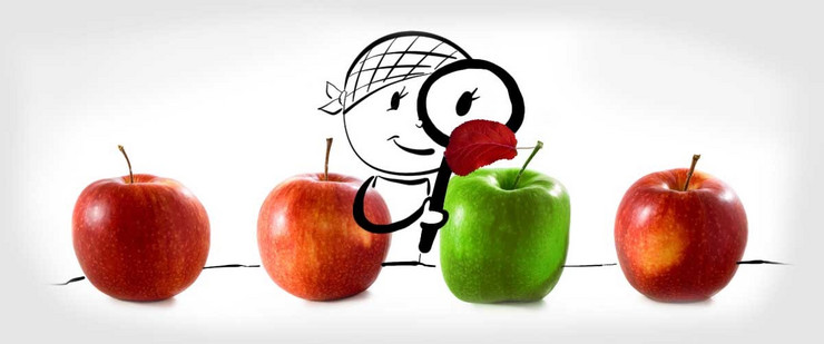 Drei rote und ein grüner Apfel stehen auf dem Tisch. Unter den roten Äpfeln ist der einzige grüne mit dem roten Blatt etwas Seltenes. Ein gezeichneter Mensch mit einer beigen Kappe schaut erstaunt mit einer Lupe auf den grünen Sonderling.