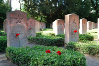 Mehrere Grabsteine mit Hecken und roten Nelken