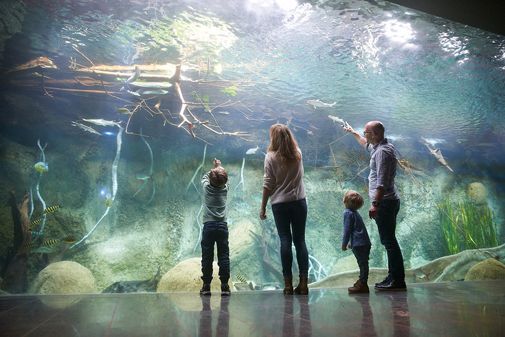 Eine Familie mit zwei Kindern steht vor einer großen Glasscheibe, hinter der Fische schwimmen.