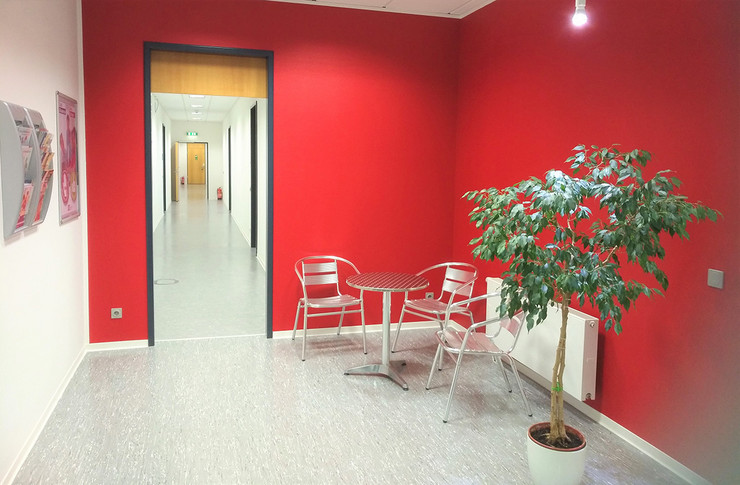 Eingangstür mit einer roten Wand und grünen Blumen