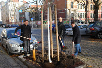 Bürgermeister Rosenthal, Peter Wilde von der Allianz und Rüdiger Dittmar, Amtsleiter Stadtgrün und Gewässer buddeln mit Spaten rund um einen neu gepflanzten Baum