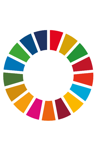 Kreis in den 17 offiziellen Farben der Globalen Nachhaltigkeitsziele