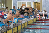 Mehrere Schwimmerinnen beim Sprung in ein Schwimmbecken
