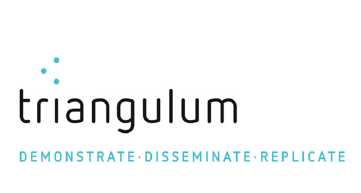 Logo Projekt Triangulum