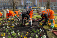 Männer und Frauen in oranger Arbeitskleidung pflanzen Blumen in ein Beet, im Hintergrund der Leipziger Hauptbahnhof