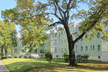 Begrünter Innenhof in der Krochsiedlung mit einem großen Baum umschlossen von geschlossener Wohnbebauung.