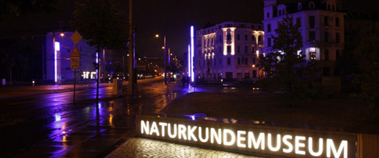 Leuchtreklame mit dem Schriftzug Naturkundemuseum in der Nacht
