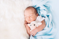Neugeborenes Baby schläft mit Kuscheltier im Arm in blauer Decke eingehüllt.
