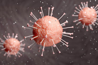 Drei rasa farbene Corona-Viren schweben vor grauem Hintergrund