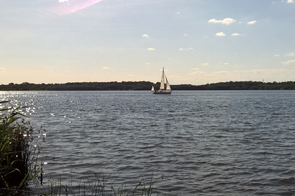 Ein Segelboot segelt unter blauem Himmer über den Cospudener See.